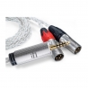 Cable 4.4mm a XLR IFI