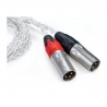 Cable 4.4mm a XLR IFI