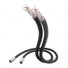 CABLE XLR REFERENZ NF-1205 AIR INAKUSTIK 1,5 MT