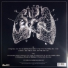 FLORENCE & THE MACHINE - LUNGS - VINILO