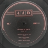 FUTURE ISLANDS - SINGLES - VINILO