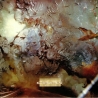 COCTEAU TWINS - HEAD OVER HEELS - VINILO