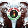 LEROY SMART - MR SMARTIN IN DUB - VINILO