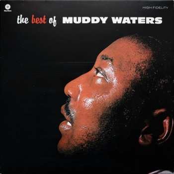 MUDDY WATERS - THE BEST OF - VINILO