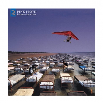 Pink Floyd - A Momentary Lapse Of Reason - Vinilo (2Lp)