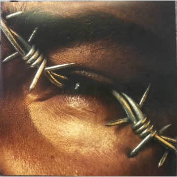 POST MALONE - BEERBONGS & BENTLEYS - VINILO