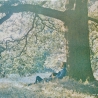 YOKO ONO - PLASTIC ONO BAND - VINILO