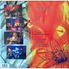 NIRVANA - MTV UNPLUGGED IN NEW YORK (25TH ANNIVERSARY EDITION) - VINILO