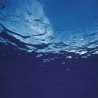 AKIRA ITO - MARINE FLOWERS - VINILO