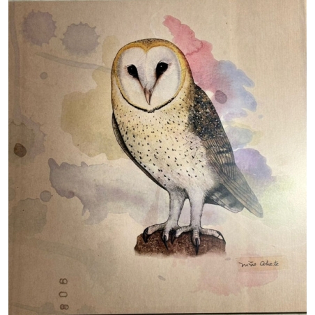 NIÑO COHETE - AVES DE CHILE  - VINILO