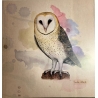 NIÑO COHETE - AVES DE CHILE  - VINILO