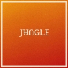 JUNGLE - VOLCANO - VINILO