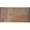 ELECTRODOMESTICOS - MIRAR LA LUZ - VINILO