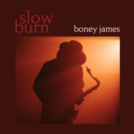 BONEY JAMES - SLOW BURN - VINILO