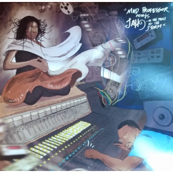 MAD PROFESSOR MEETS JAH9, IN THE MIDST OF THE STORM - VINILO