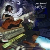MAD PROFESSOR MEETS JAH9, IN THE MIDST OF THE STORM - VINILO