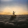 PINK FLOYD - THE ENDLESS RIVER - VINILO
