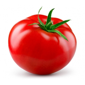 PRODUCTO TEST