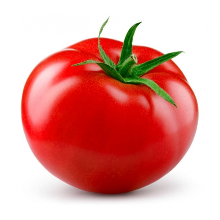 PRODUCTO TEST