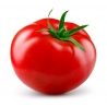 PRODUCTO TEST