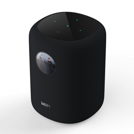Parlante Wifi Bluetooth WiiM SOUND
