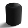 Parlante Wifi Bluetooth WiiM SOUND