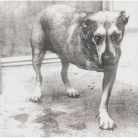(CD) ALICE IN CHAINS