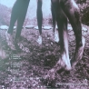 (VINILO) PEARL JAM - VS. (30TH ANNIVERSARY EDITION)