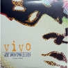 JOE VASCONCELLOS - VIVO 1999-2019  (2LP) - VINILO
