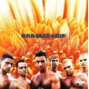 RAMMSTEIN - HERZELEID (2 LP) - VINILO