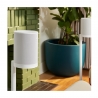 Parlante Wireless SONOS ERA 100 SL
